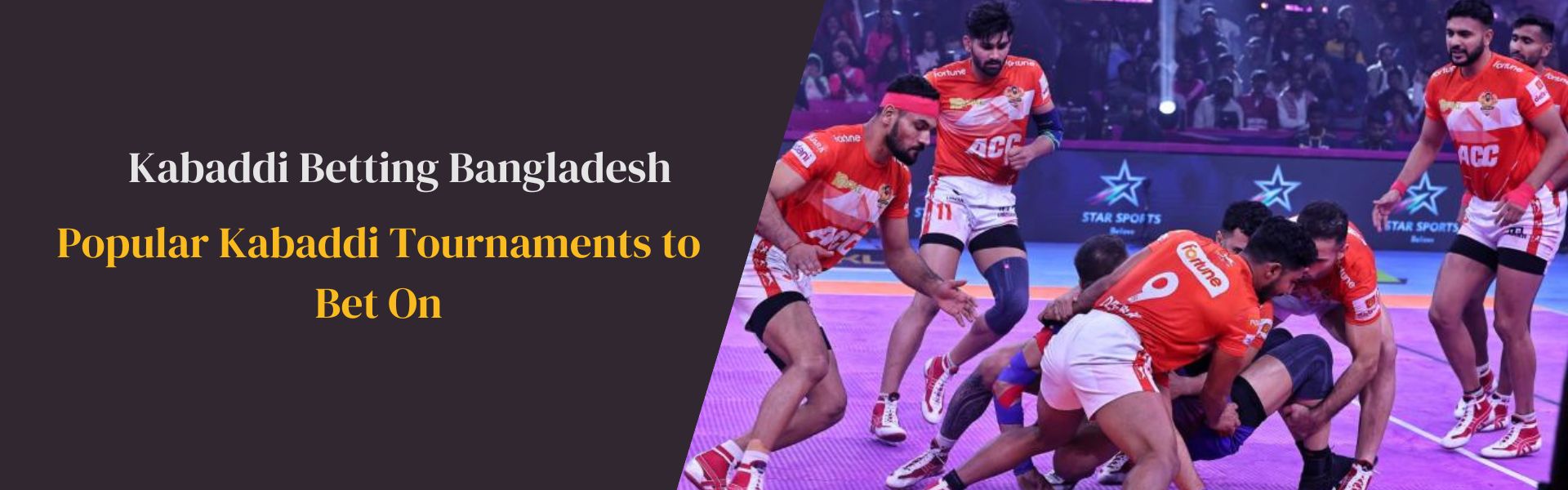 Popular Kabaddi Tournaments to Bet On