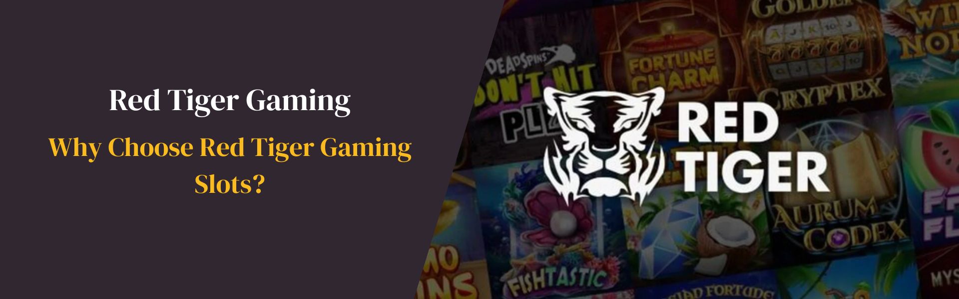 Why Choose Red Tiger Gaming Slots Bangladesh